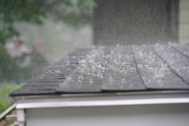 Best Roof Coating and Sealing  in Springfield, MI