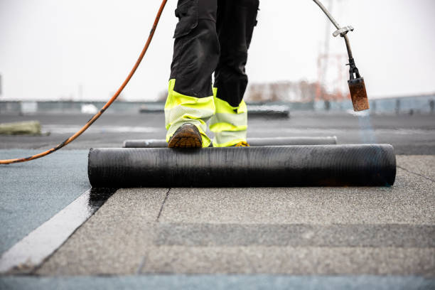 Best Solar Panel Roofing Installation  in Springfield, MI