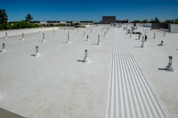 Best Emergency Roof Repair Services  in Springfield, MI
